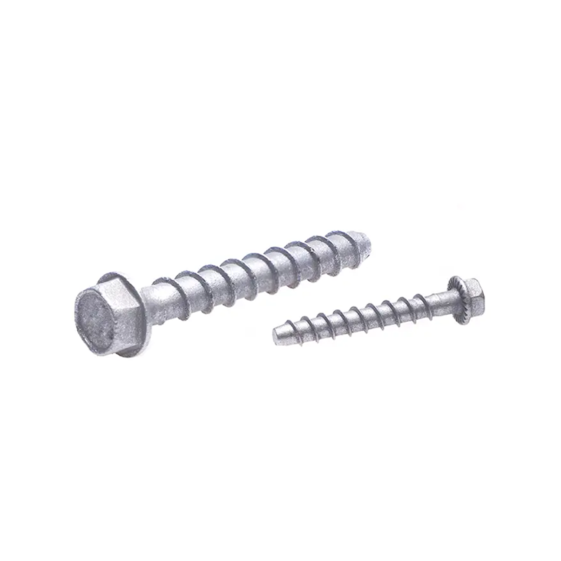 Galvanized Concrete structura stupra Hex LABIUM Caput gravis officium concretum stupra Anchora